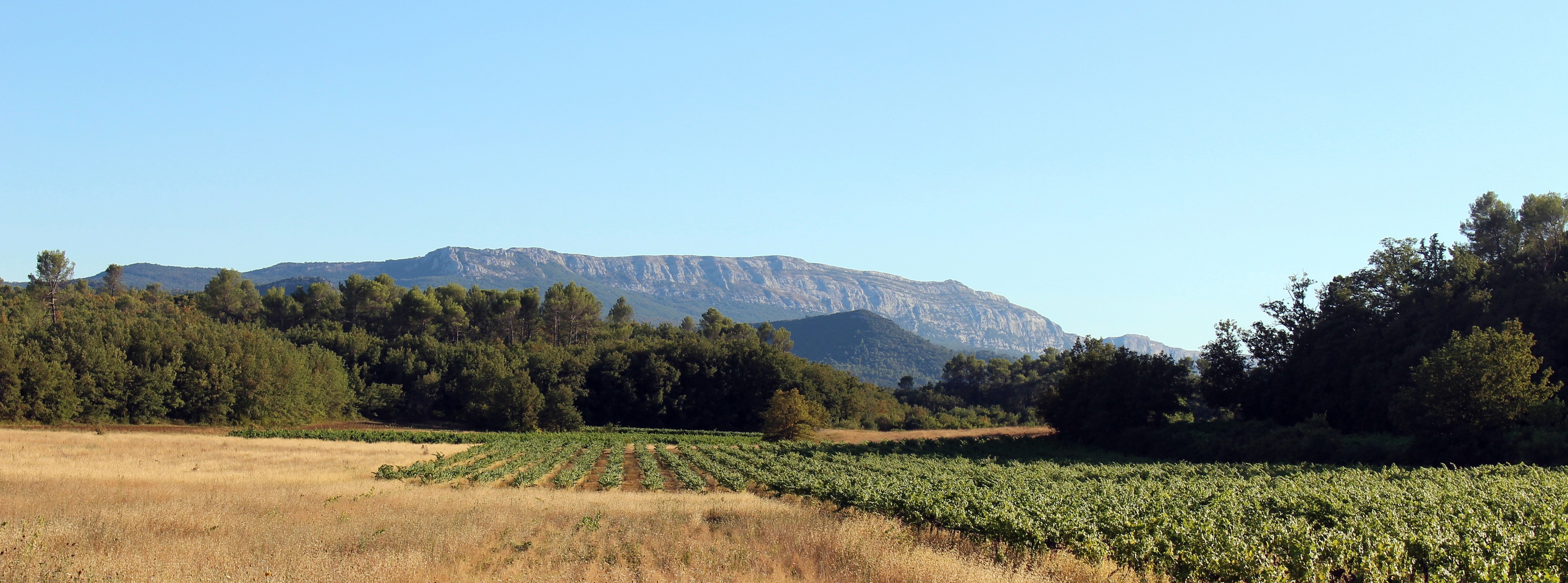 Domaine de la Batelière_Saint-Maximin-la-Sainte-Baume