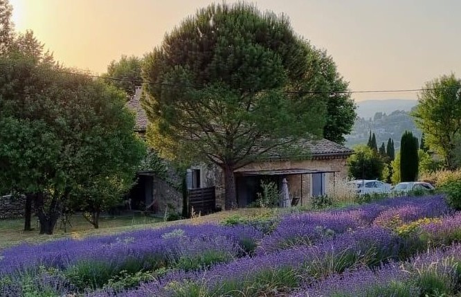 Bastide La Mandarine Bleu Lavande_Apt