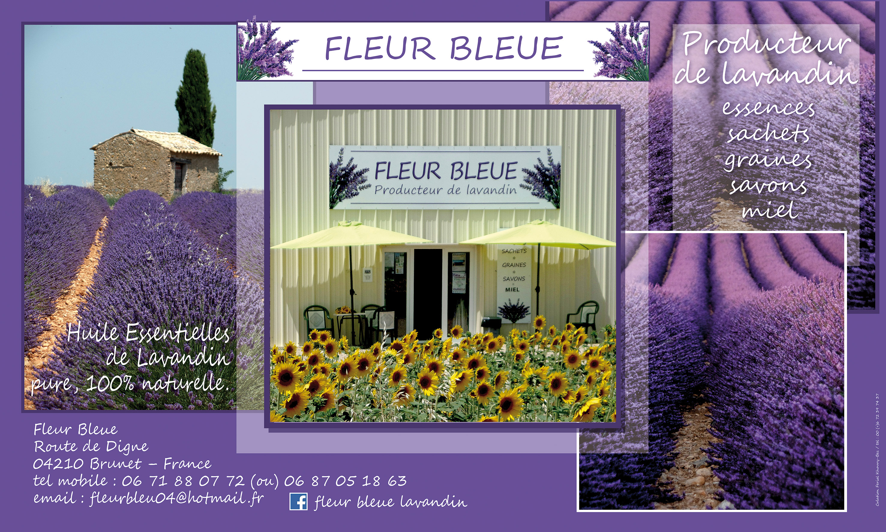 Fleur Bleue