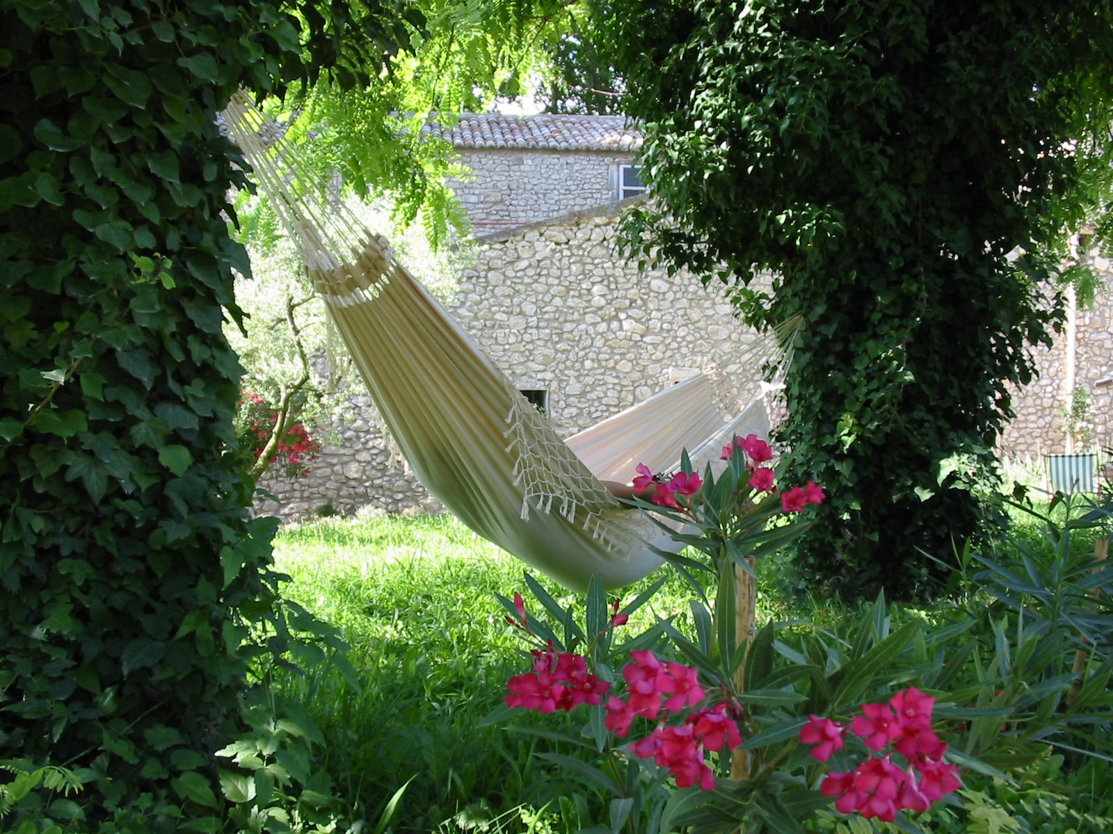 Le Mas Saint Roman_Maussane-les-Alpilles