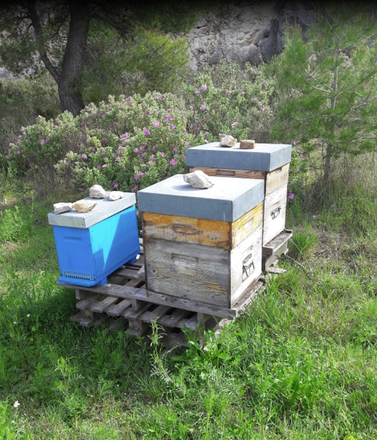 Chantemiel_Cabrières-d'Avignon