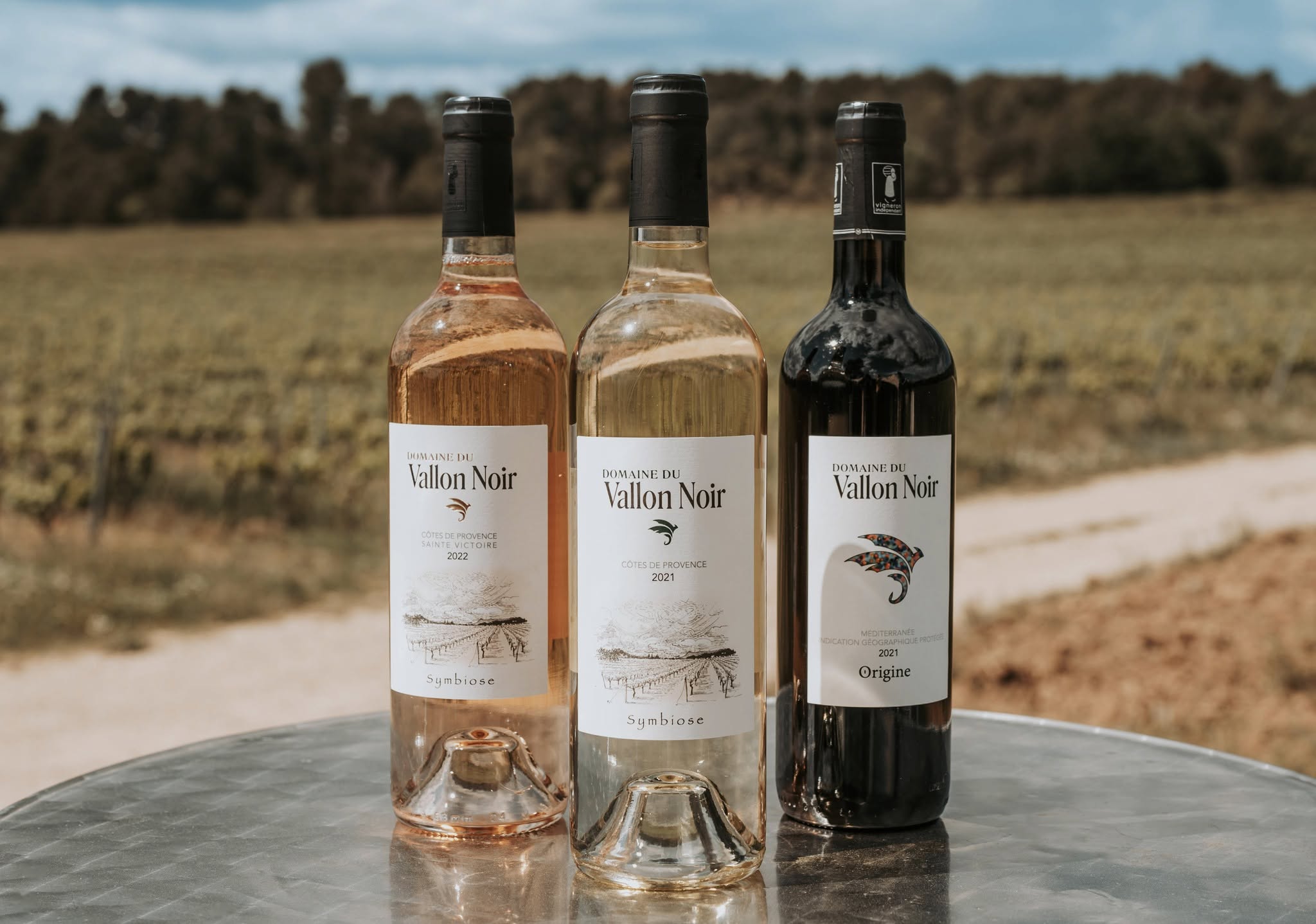 Domaine du Vallon Noir_Pourrières