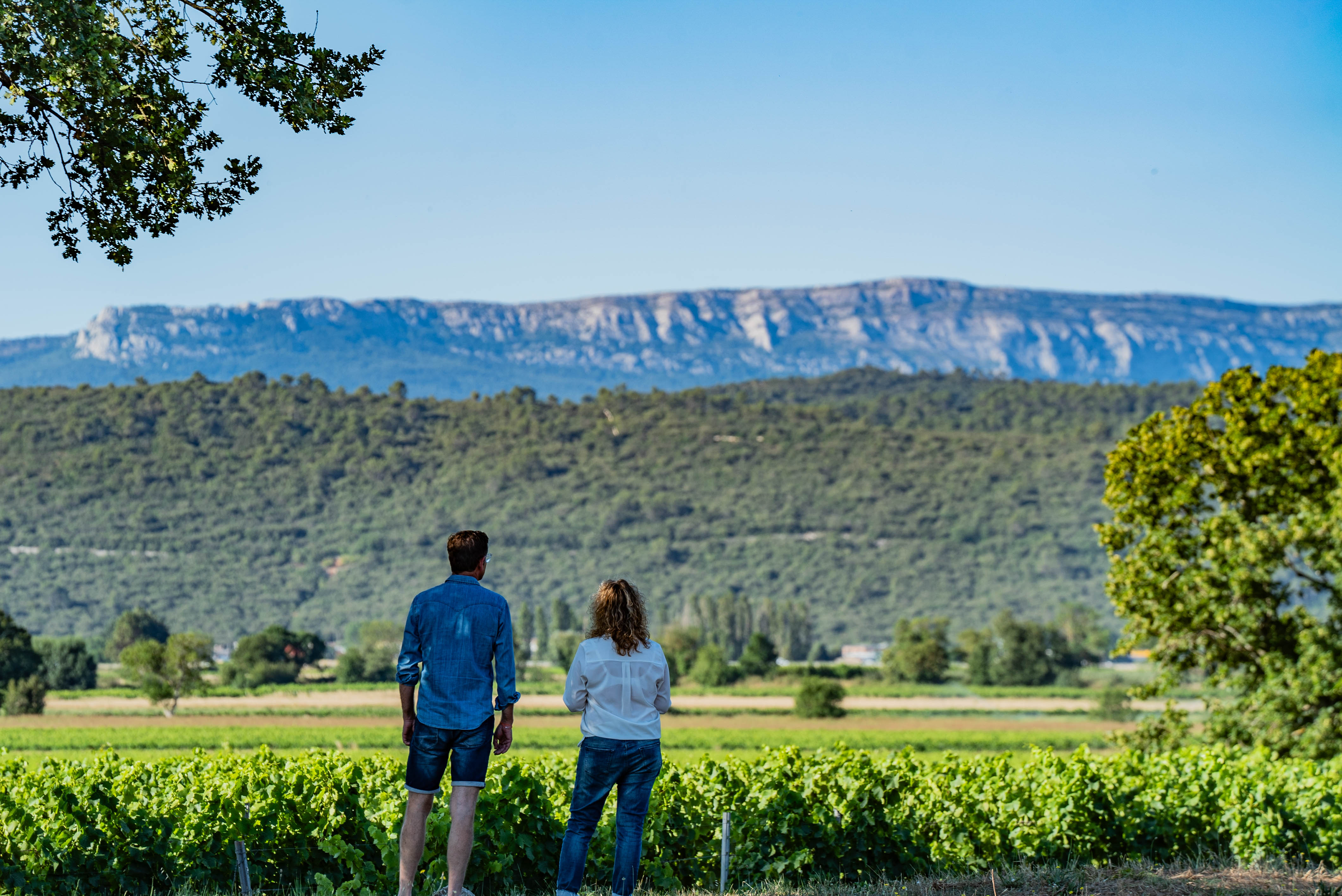 Domaine Saint Mitre - Saint Maximin la Sainte Baume