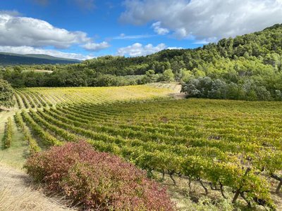 Domaine Perréal