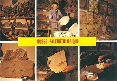 Jean Fabre dans son musée paléontologique