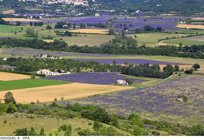 Plateau d'Albion