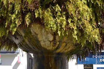 La fontaine moussue