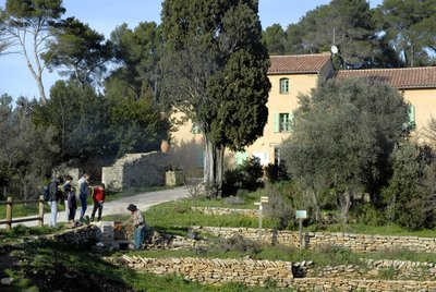 Activité dans la MN4F
