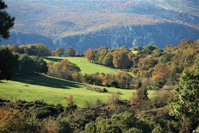 Domaine des Courmettes
