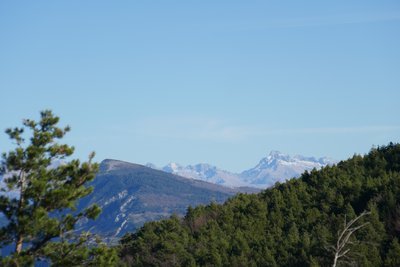 Le Gélas vu depuis le col champêtre de la Bâtie-Neuve