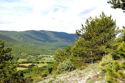 Grand Luberon depuis La Gardette