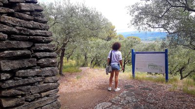 Cultures et murs en pierre sèche