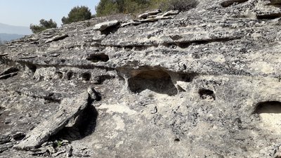 Dalles de molasse
