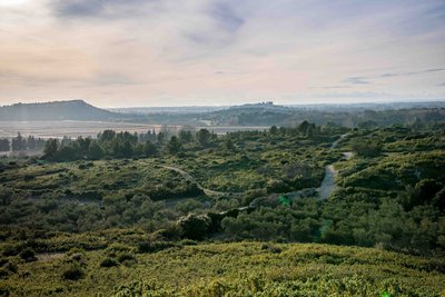Les collines de Montmajour et des Cordes, témoins des anciens marais d'Arles