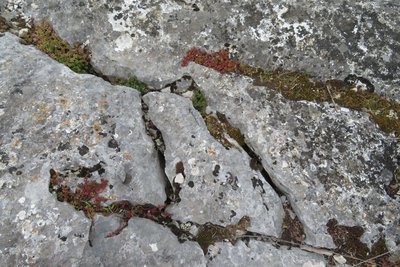 Relief karstique