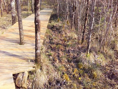 Passerelle en bois