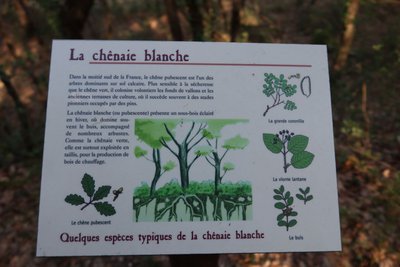 Panneau d'interprétation en chemin