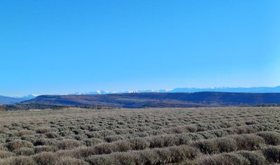 Panoram sur les Préalpes de Digne