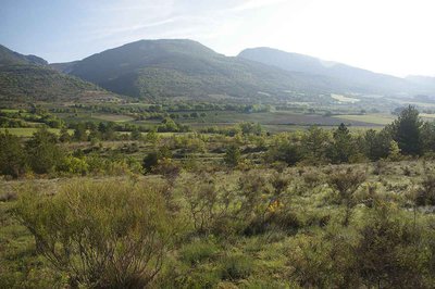 Le plateau des Moures