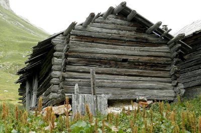 Cabane d'alpage