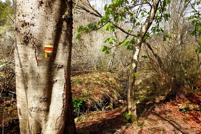 Tourner à droite aprés le ruisseau
