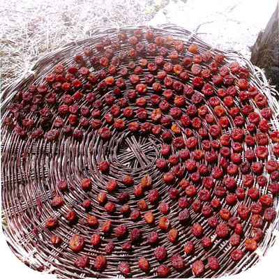 Prune perdrigone séchées