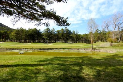 Green du golf de Taulanne