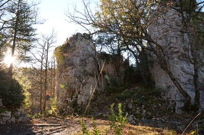 Les Tourreus