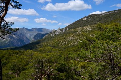 Le rocher du Fort