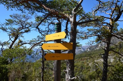 Prenez la bonne direction