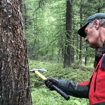 Martelage dans les forêts du Queyras