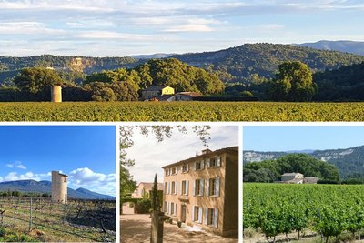 Domaine Le Grand Saint Julien