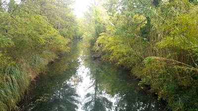 Vieux canal