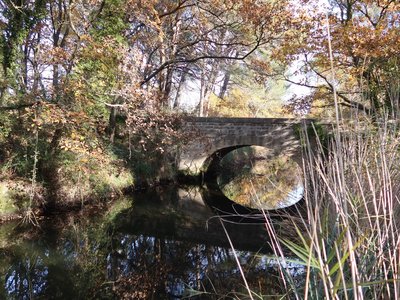 Pont sur le Vieux canal