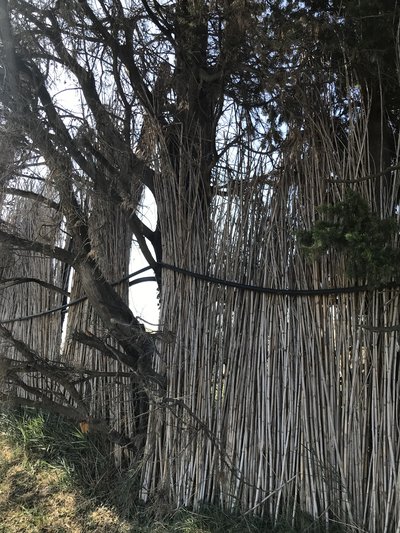 Sébisses