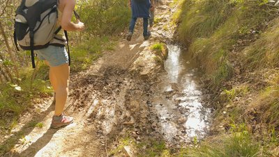 Zone humide du sentier de Piégros