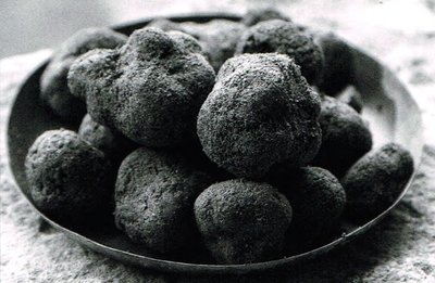 Tuber