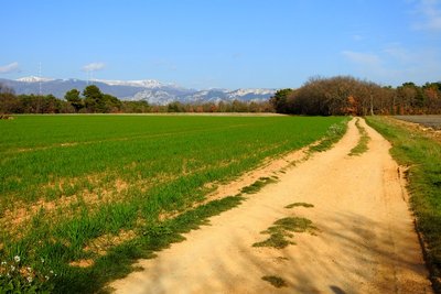 Paysages