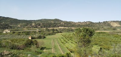 Vue depuis Venterol (Orientation Ouest)