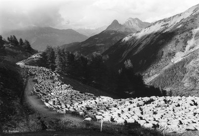 Passage du col d'Allos