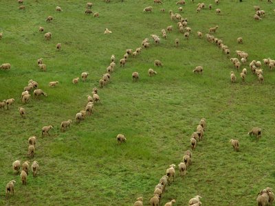 En marche