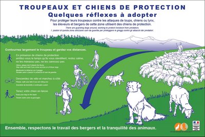 Consignes face aux chiens de protection