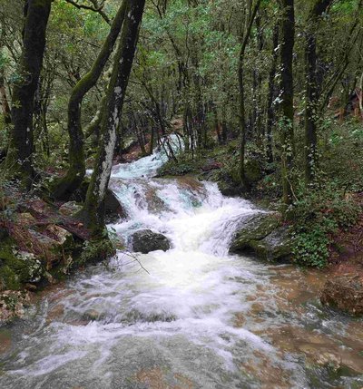 La source de l'Huveaune en crue