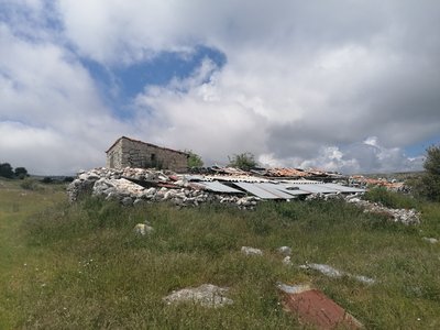 Bergerie