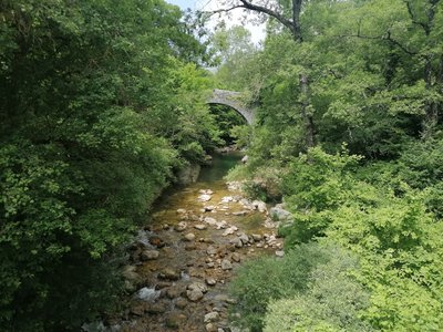Le Loup et son pont