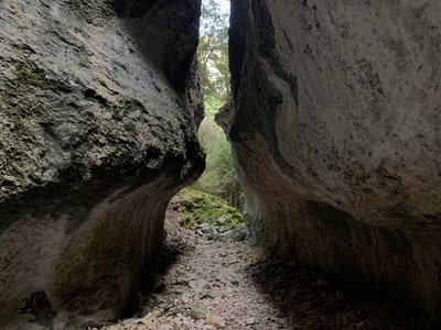 Combe de Curnier