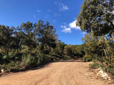 A la découverte de la garrigue