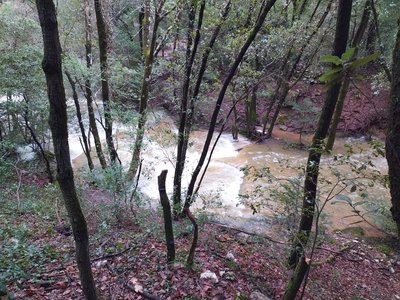 Bords de l'Huveaune