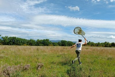 Prospections sur Puget-en-Durance