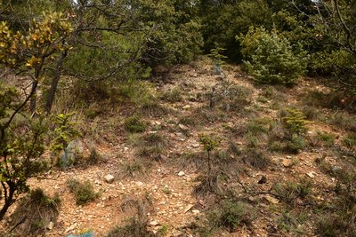 Guarrigues de Volx